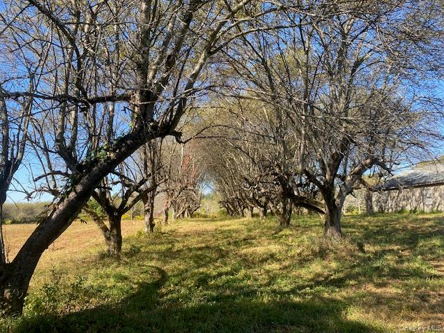 989 Highway 32 Wallkill, NY 12589 - Photo 28 of 37 a view of swimming pool with a yard