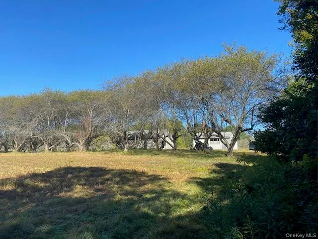 a view of outdoor space with mountain view