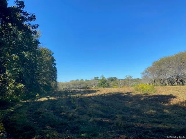 a view of ocean view with beach