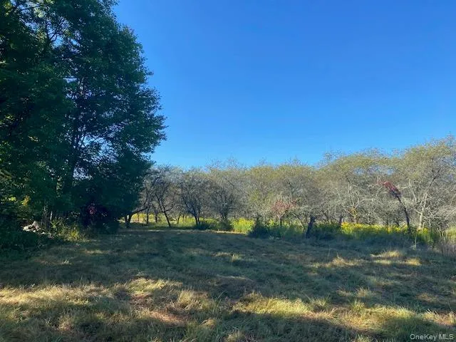 a view of a yard with large trees