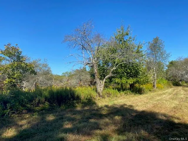 a view of a yard with a tree