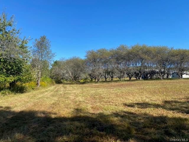 989 Highway 32 Wallkill, NY 12589 - Photo 33 of 37 a view of an ocean