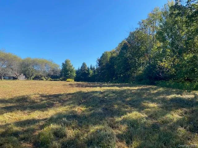 a view of yard with swimming pool and trees