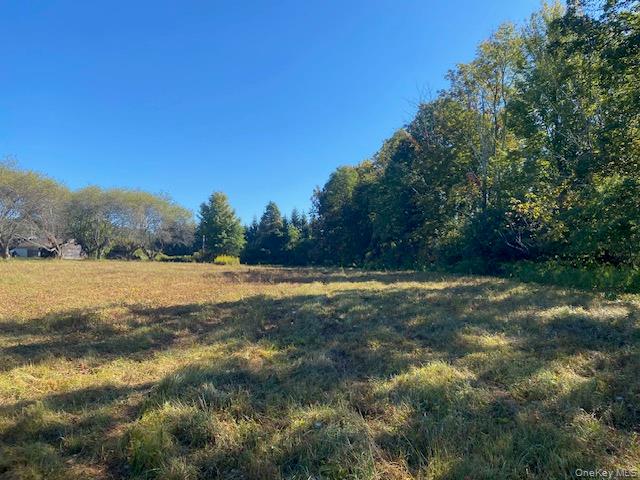 989 Highway 32 Wallkill, NY 12589 - Photo 35 of 37 a view of yard with swimming pool and trees