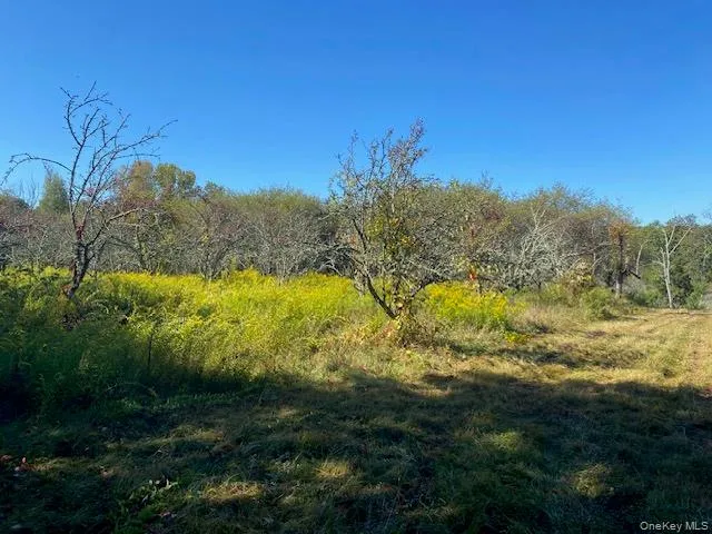 a view of an outdoor space and a yard