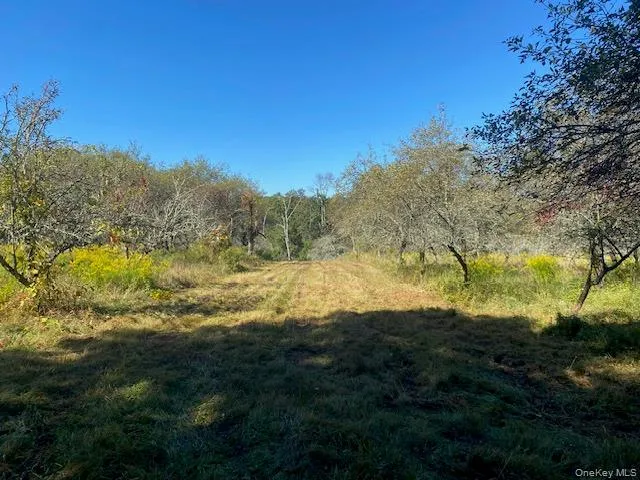 a view of lake with green space