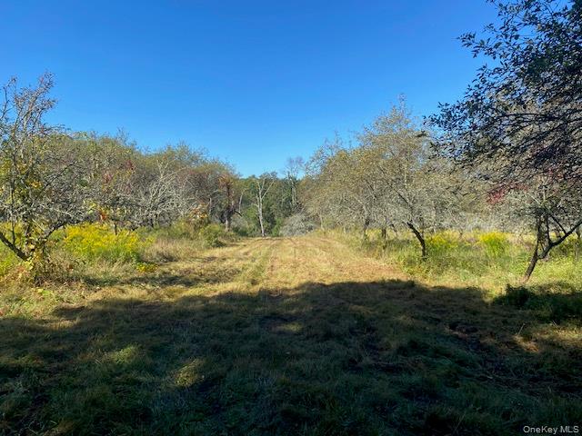 989 Highway 32 Wallkill, NY 12589 - Photo 37 of 37 a view of lake with green space