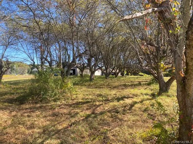 a view of yard with trees