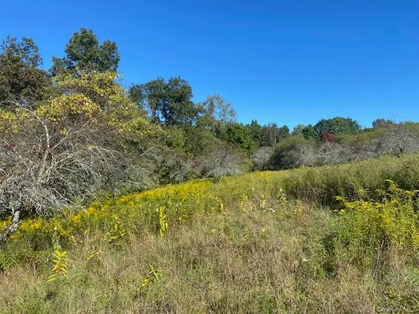 a view of a yard with a tree