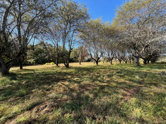a view of ground with trees