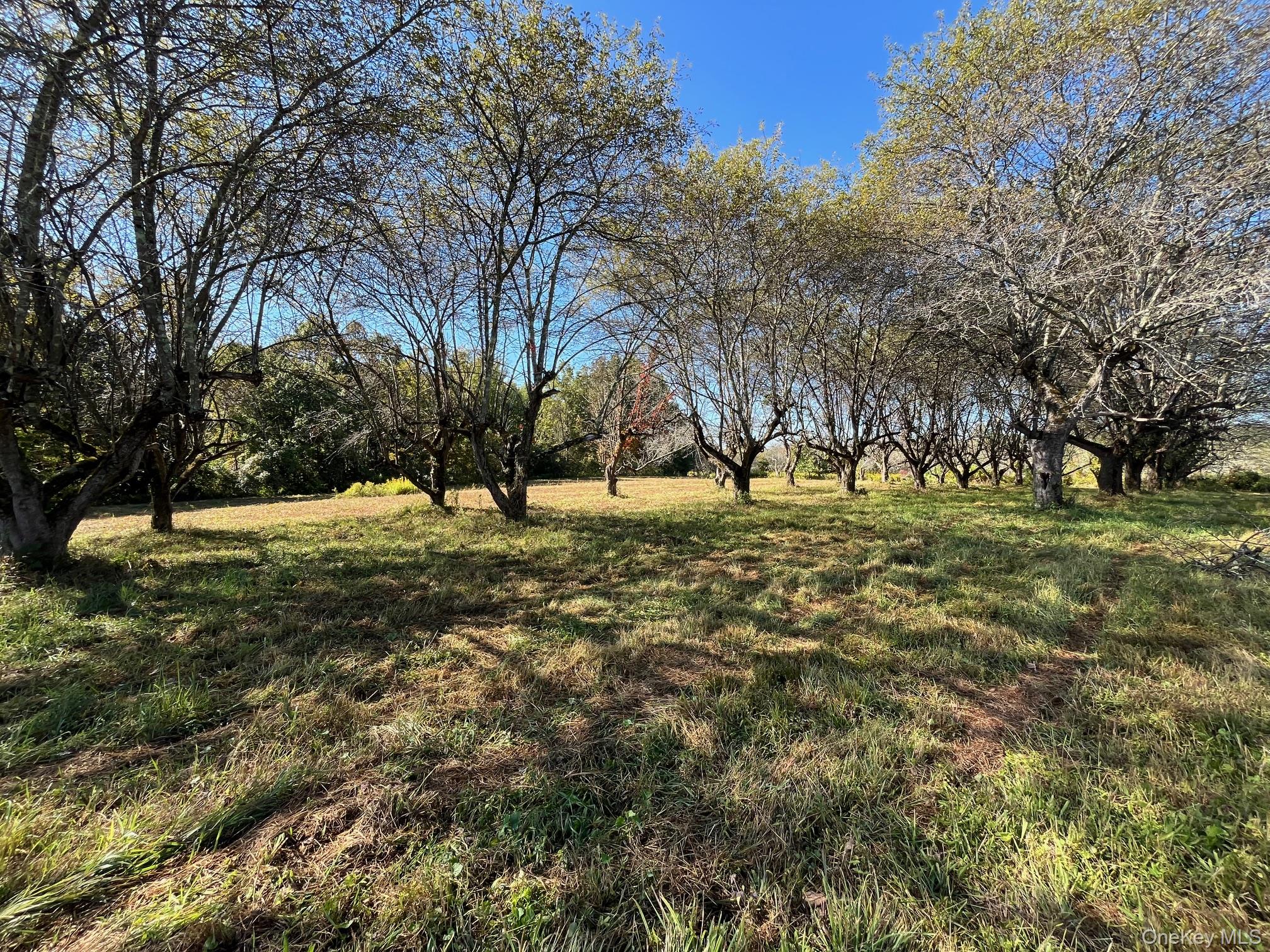 989 Highway 32 Wallkill, NY 12589 - Photo 10 of 37 a view of ground with trees