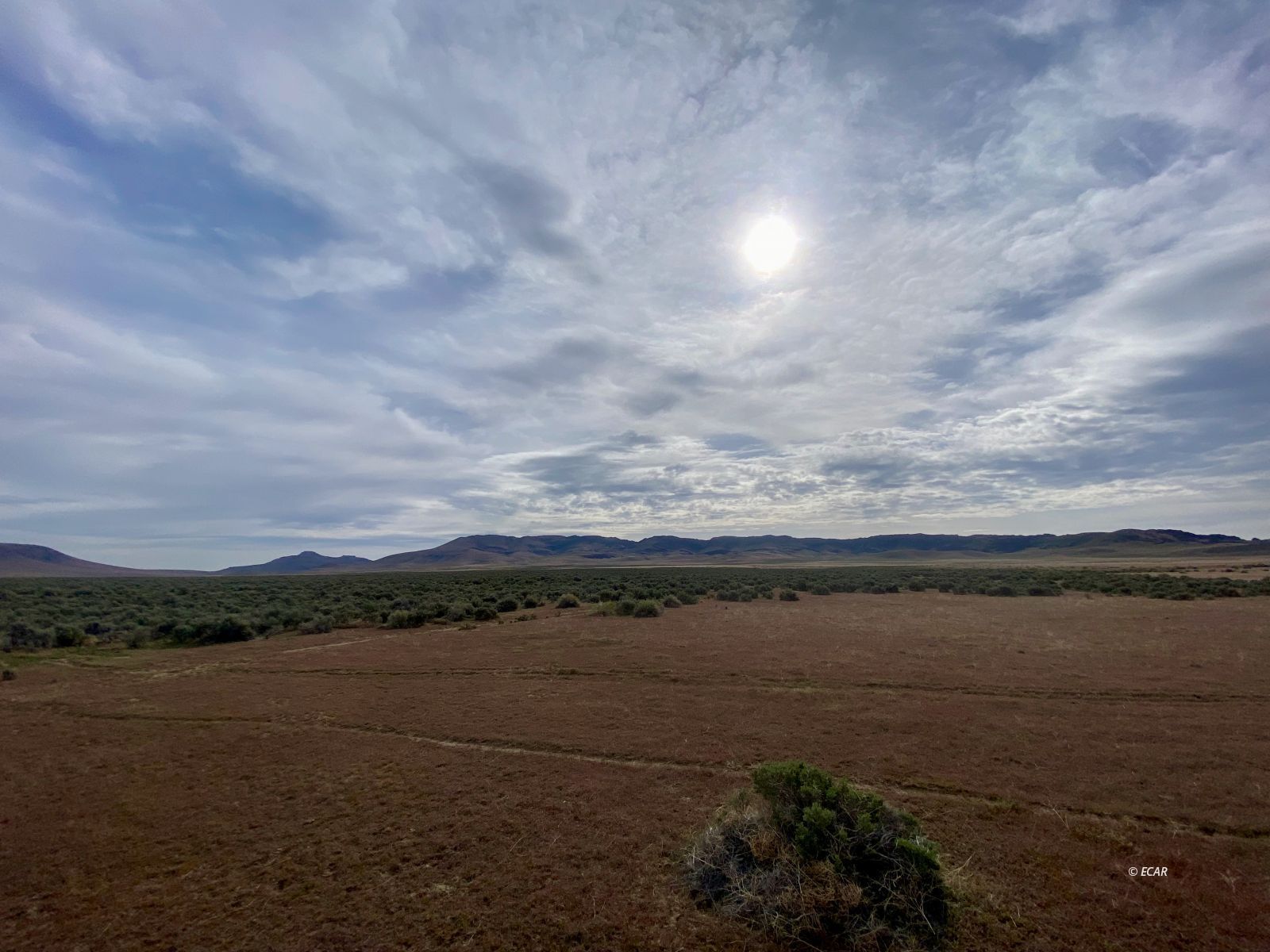 Izzenhood Ranch/ Gap Road Battle Mountain, NV 89820 - Photo 16 of 18