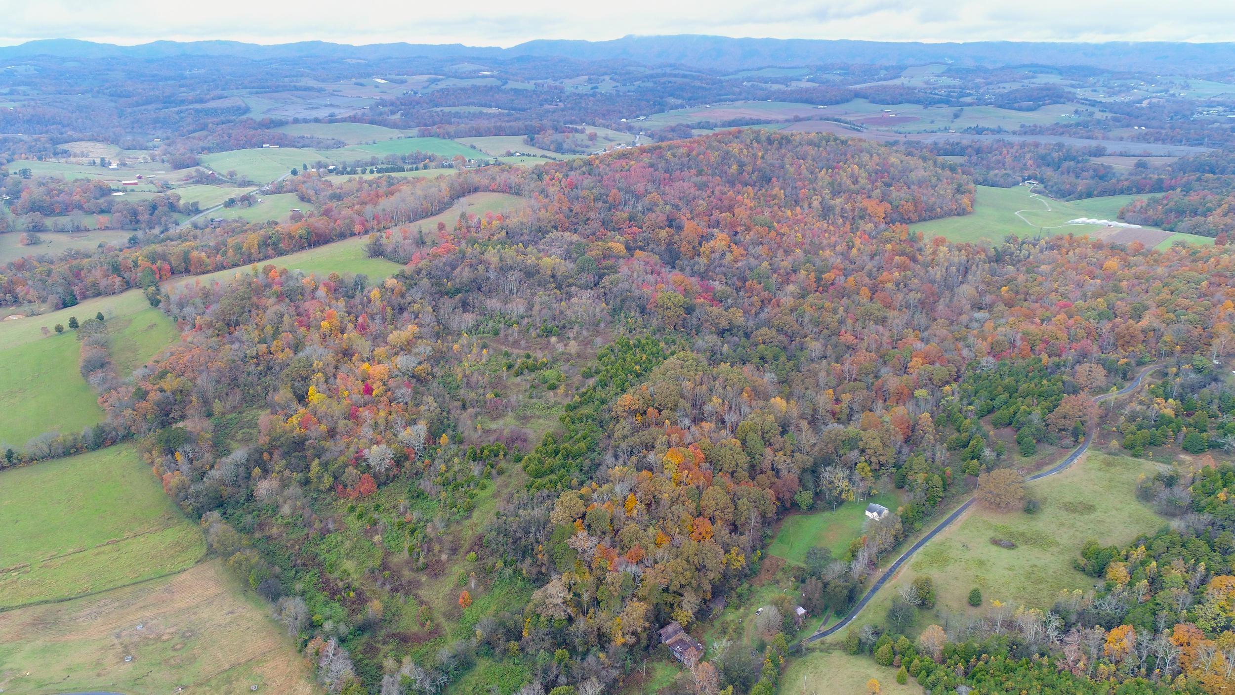 476 Burkhart Road Rutledge, TN 37861 - Photo 1 of 12 476 Burkhart