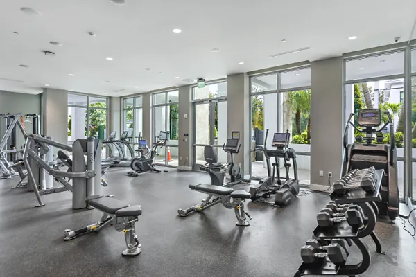 a view of a park along palm trees and sign board