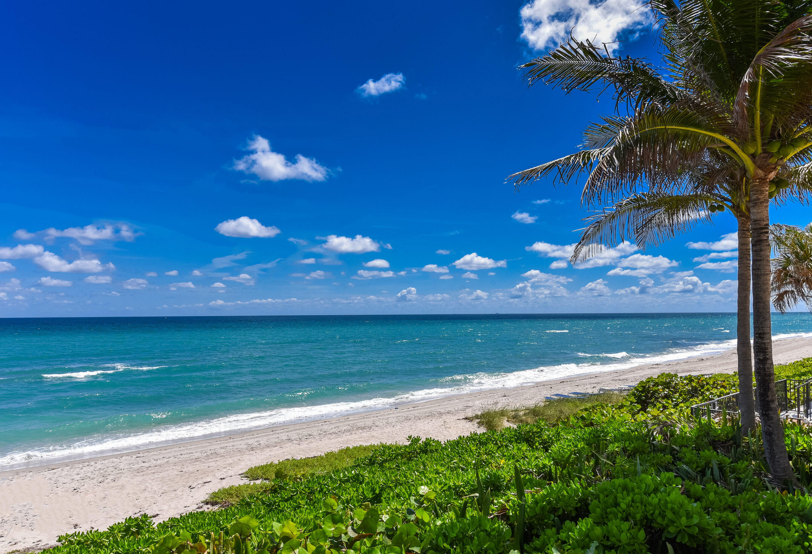 485 East Royal Palm Road, Unit 403 Boca Raton, FL 33432 - Photo 43 of 74 a view of an ocean from a yard