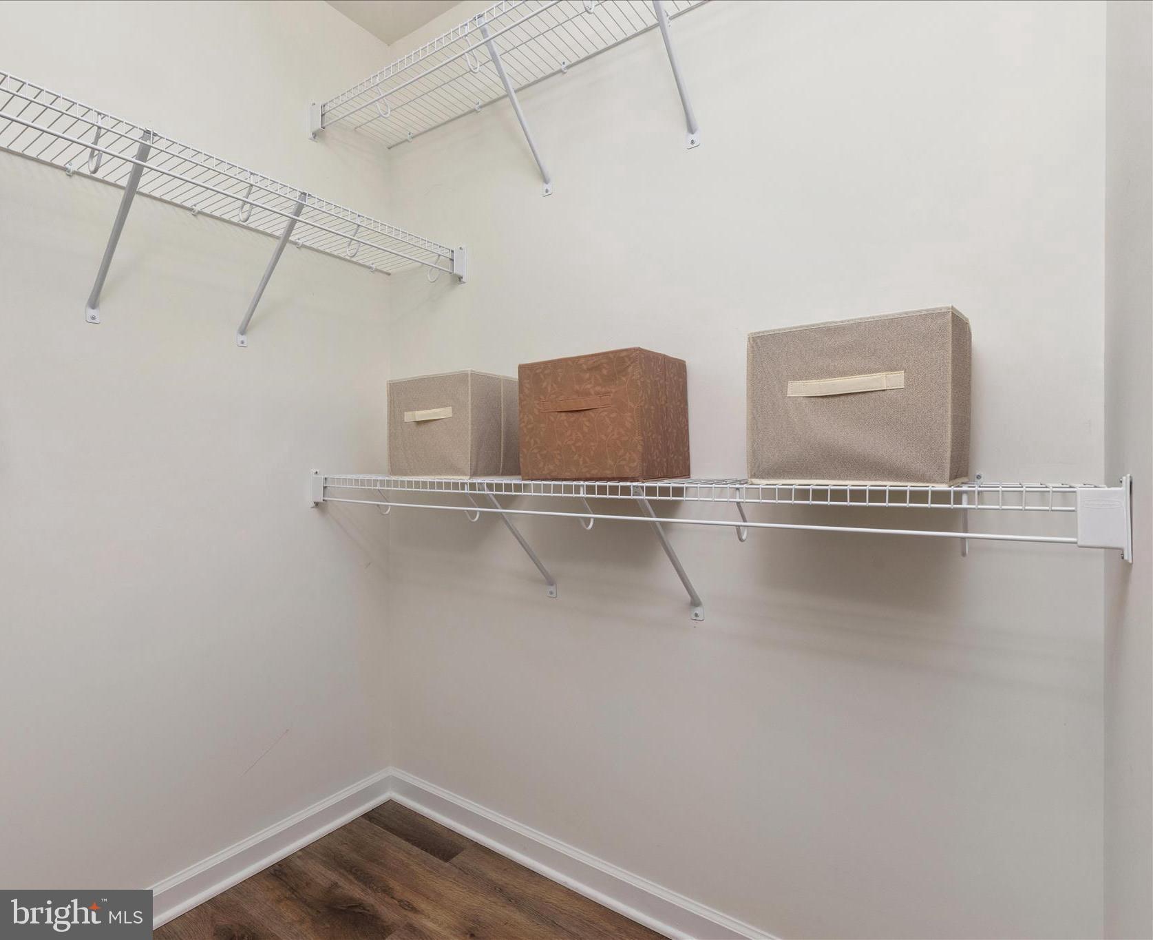 347 Riley Court Front Royal, VA 22630 - Photo 21 of 42 Walk in closet