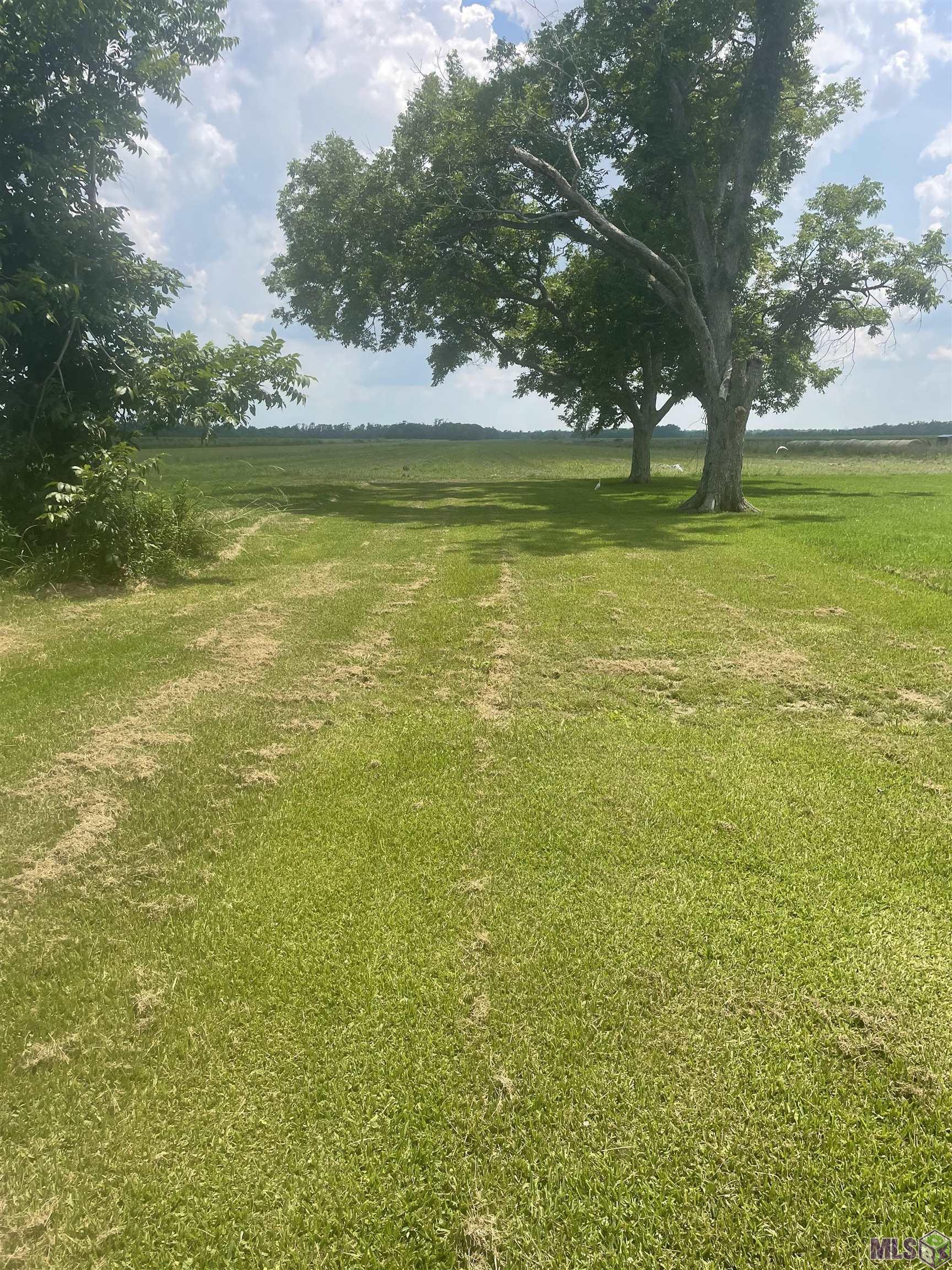 2364 Highway 1 Raceland, LA 70394 - Photo 21 of 22 Gallery Image 21