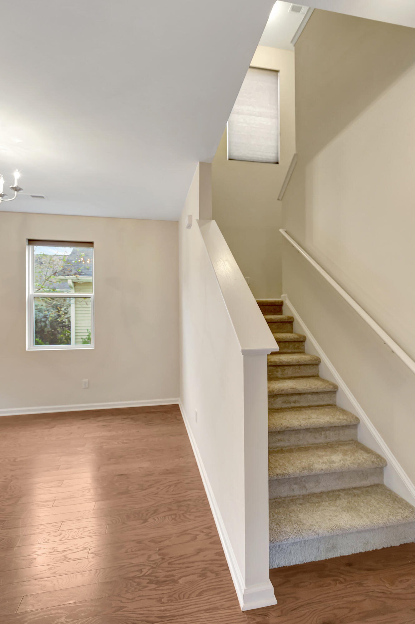 3131 Conservancy Lane Charleston, SC 29414 - Photo 16 of 43 296A5642