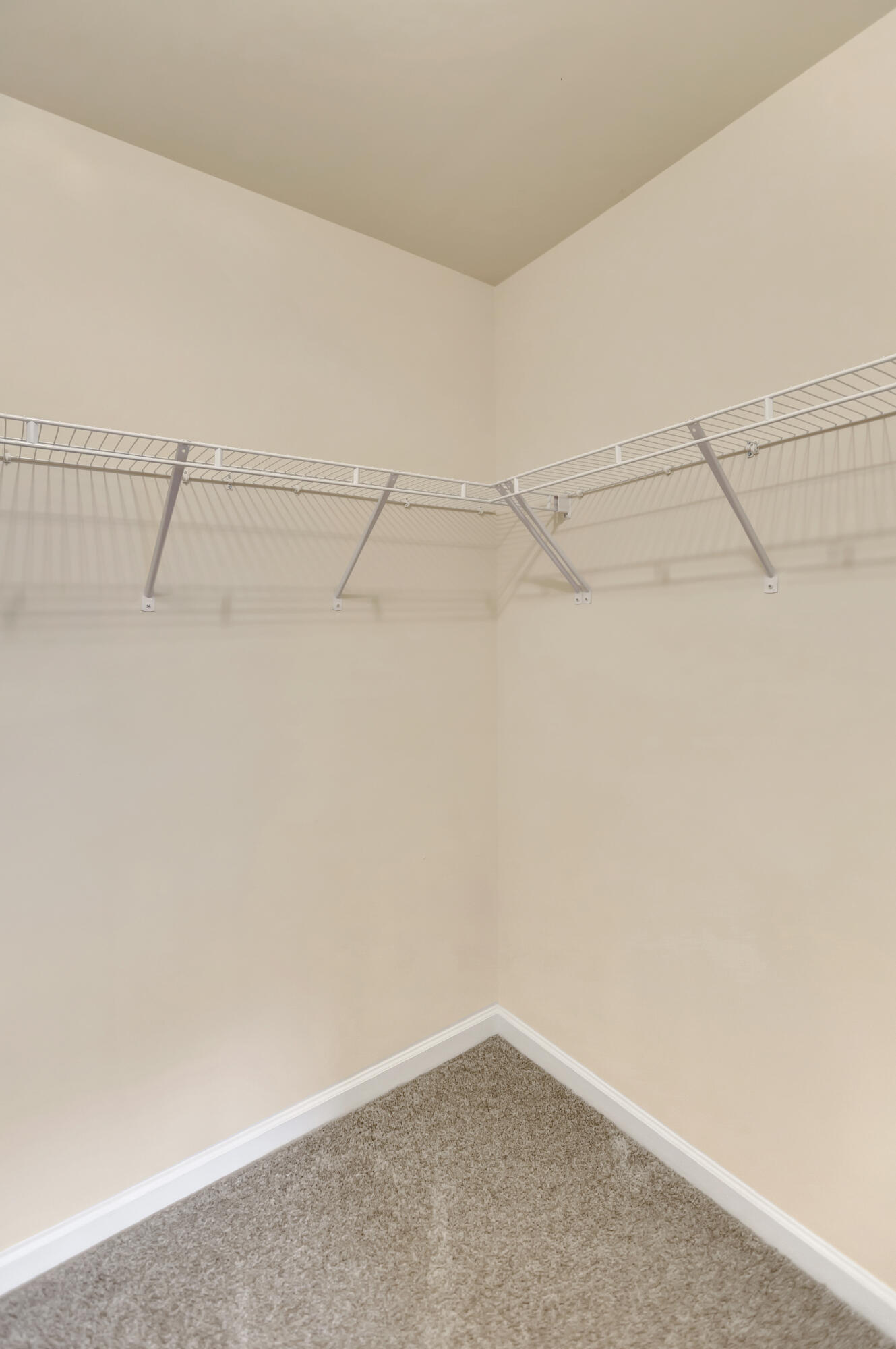 3131 Conservancy Lane Charleston, SC 29414 - Photo 29 of 43 296A5663