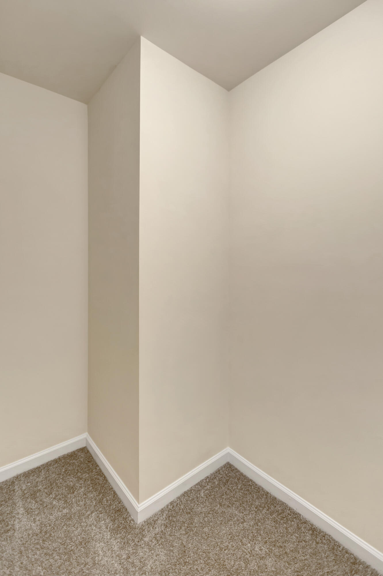 3131 Conservancy Lane Charleston, SC 29414 - Photo 38 of 43 296A5681