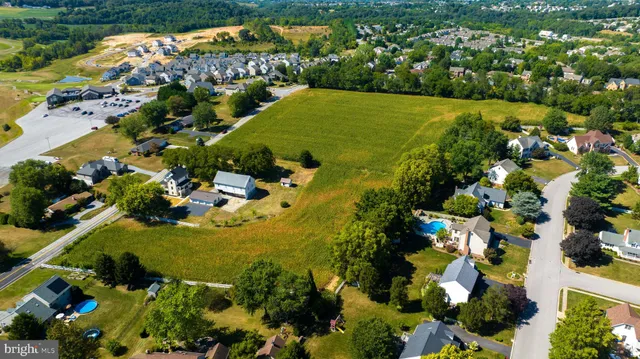 a view of a yard with plants