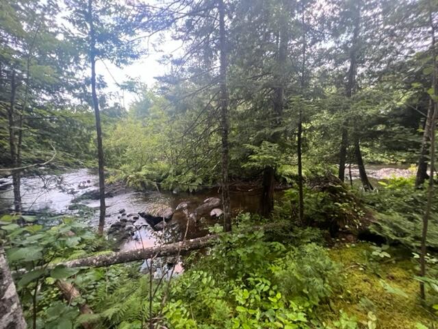 M2-l2 Back Ridge Road Houlton, ME 04730 - Photo 24 of 79 IMG_0665