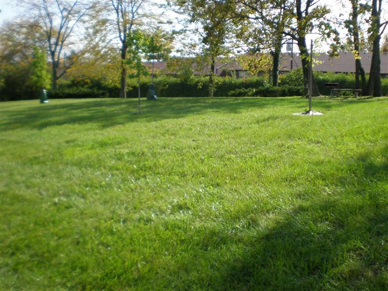 1032 Armstrong Mill Road, Unit A Lexington, KY 40517 - Photo 5 of 17 Photo 5