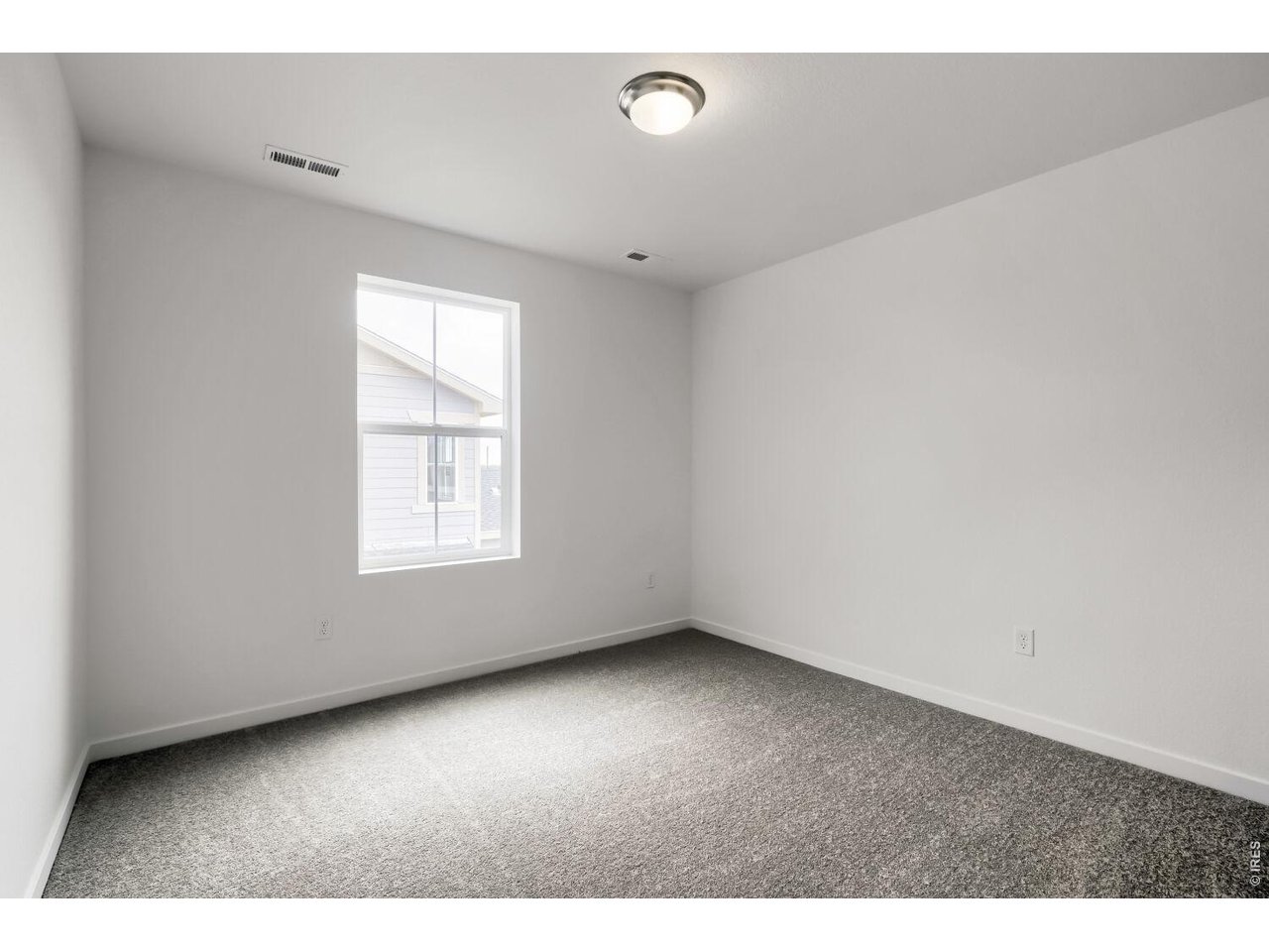 6407 Masked Lark Street Fort Collins, CO 80528 - Photo 9 of 13