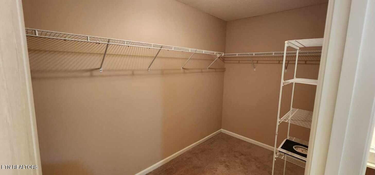 3241 Mountain Spring Way Knoxville, TN 37917 - Photo 10 of 12 tempImageOApiXF