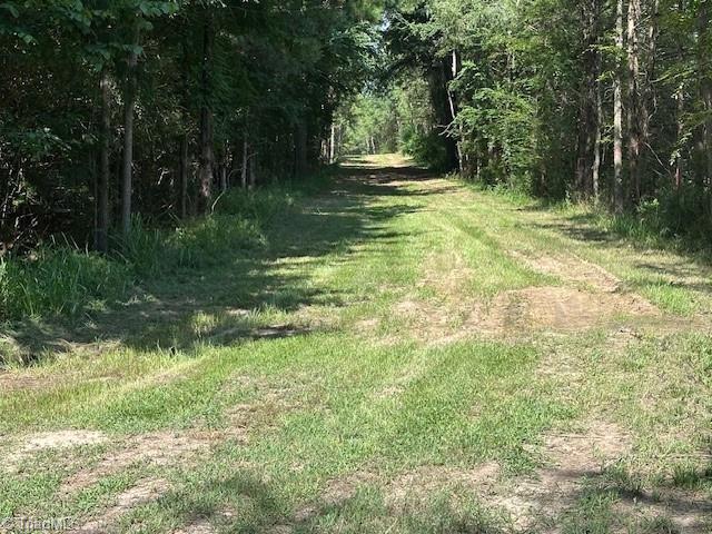 4115 Busbee Road Seagrove, NC 27341 - Photo 30 of 37