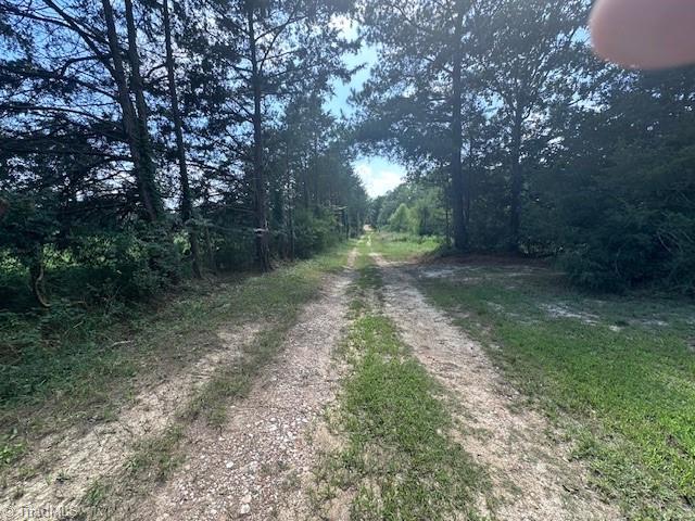 4115 Busbee Road Seagrove, NC 27341 - Photo 32 of 37