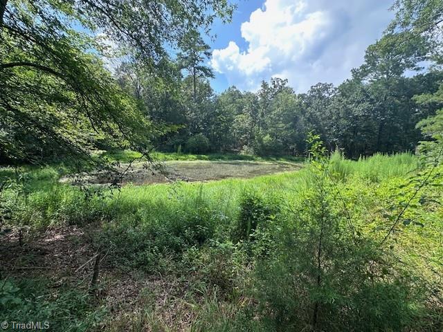 4115 Busbee Road Seagrove, NC 27341 - Photo 33 of 37