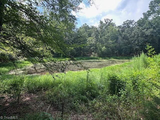 4115 Busbee Road Seagrove, NC 27341 - Photo 34 of 37