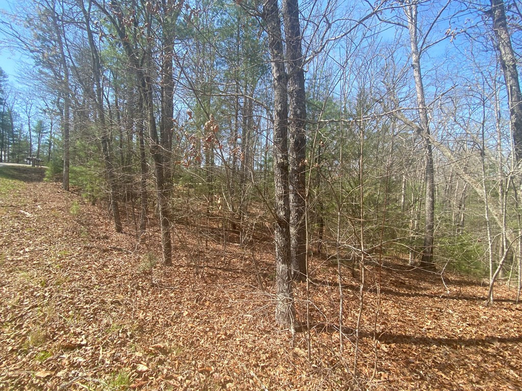 0 Hilltop Road Murphy, NC 28906 - Photo 5 of 16