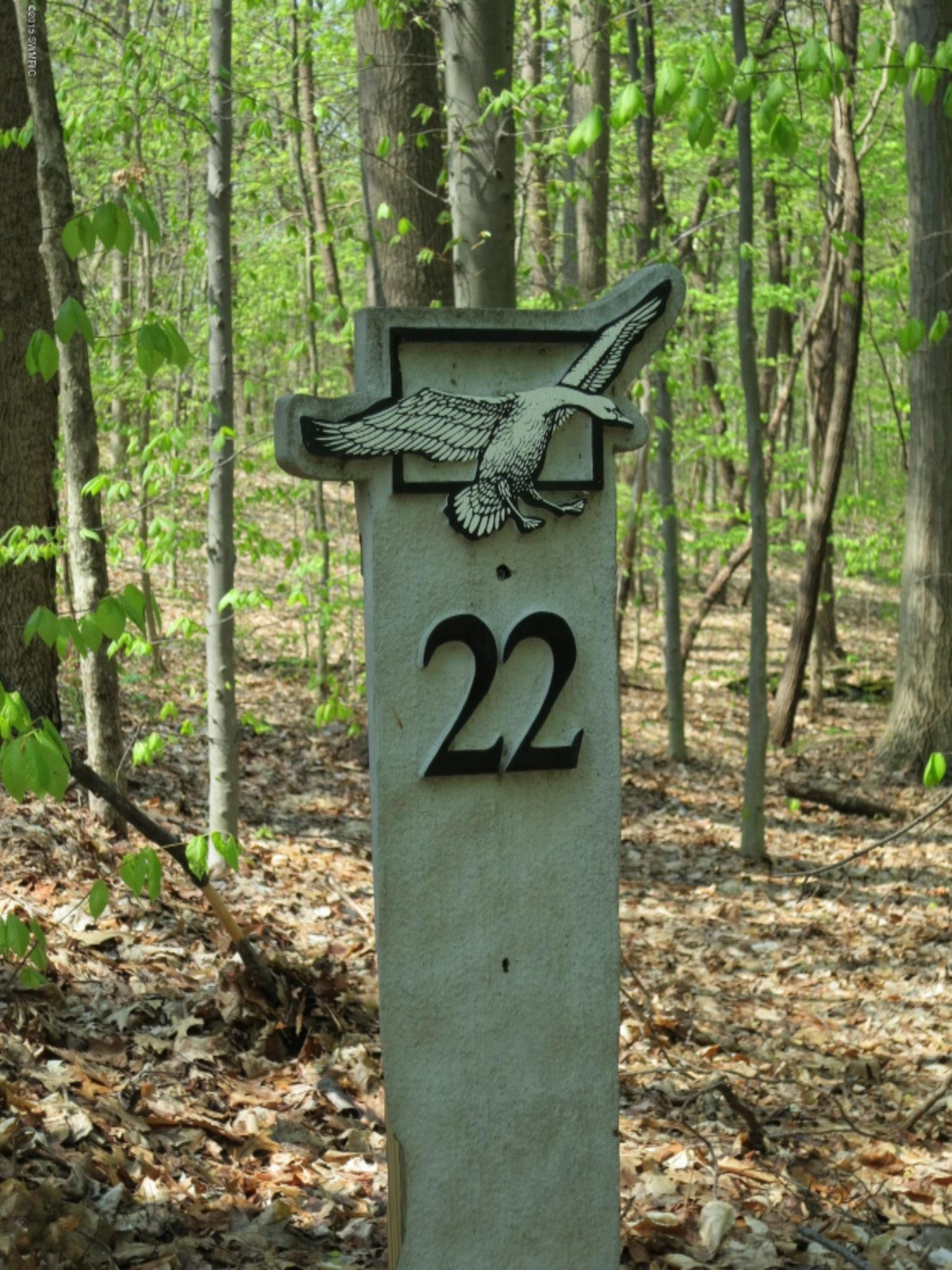 22 Camp Madron Road Buchanan, MI 49107 - Photo 2 of 27 IMG_3981