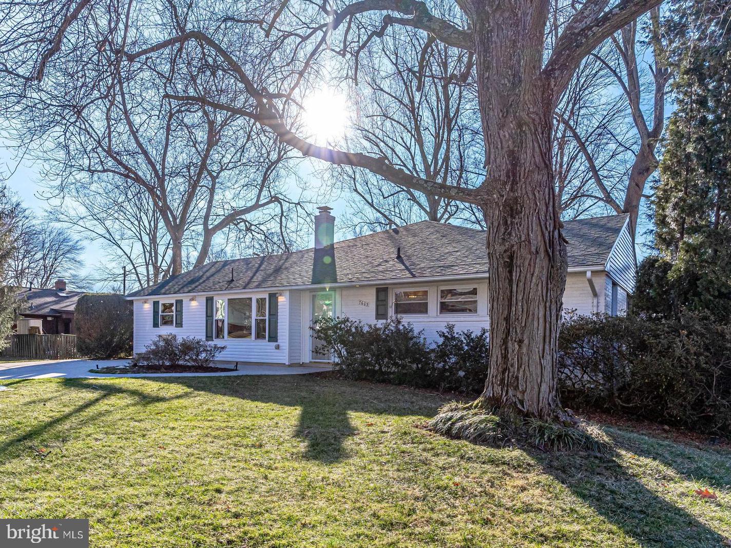 7603 Jervis Street Springfield, VA 22151 - Photo 7 of 93 Gallery Image 7