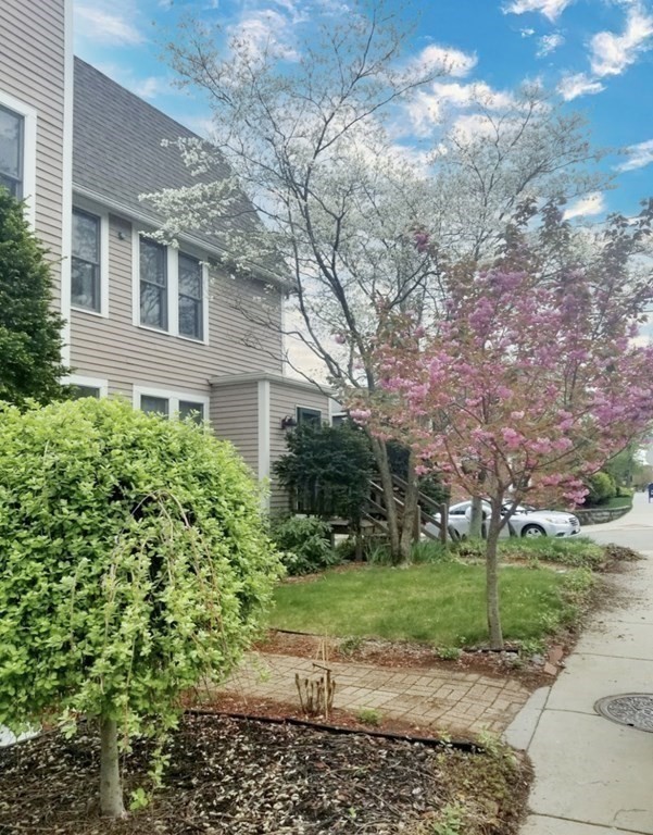 115 Spring Street, Unit 2 Watertown, MA 02472 - Photo 3 of 30 Gallery Image 3