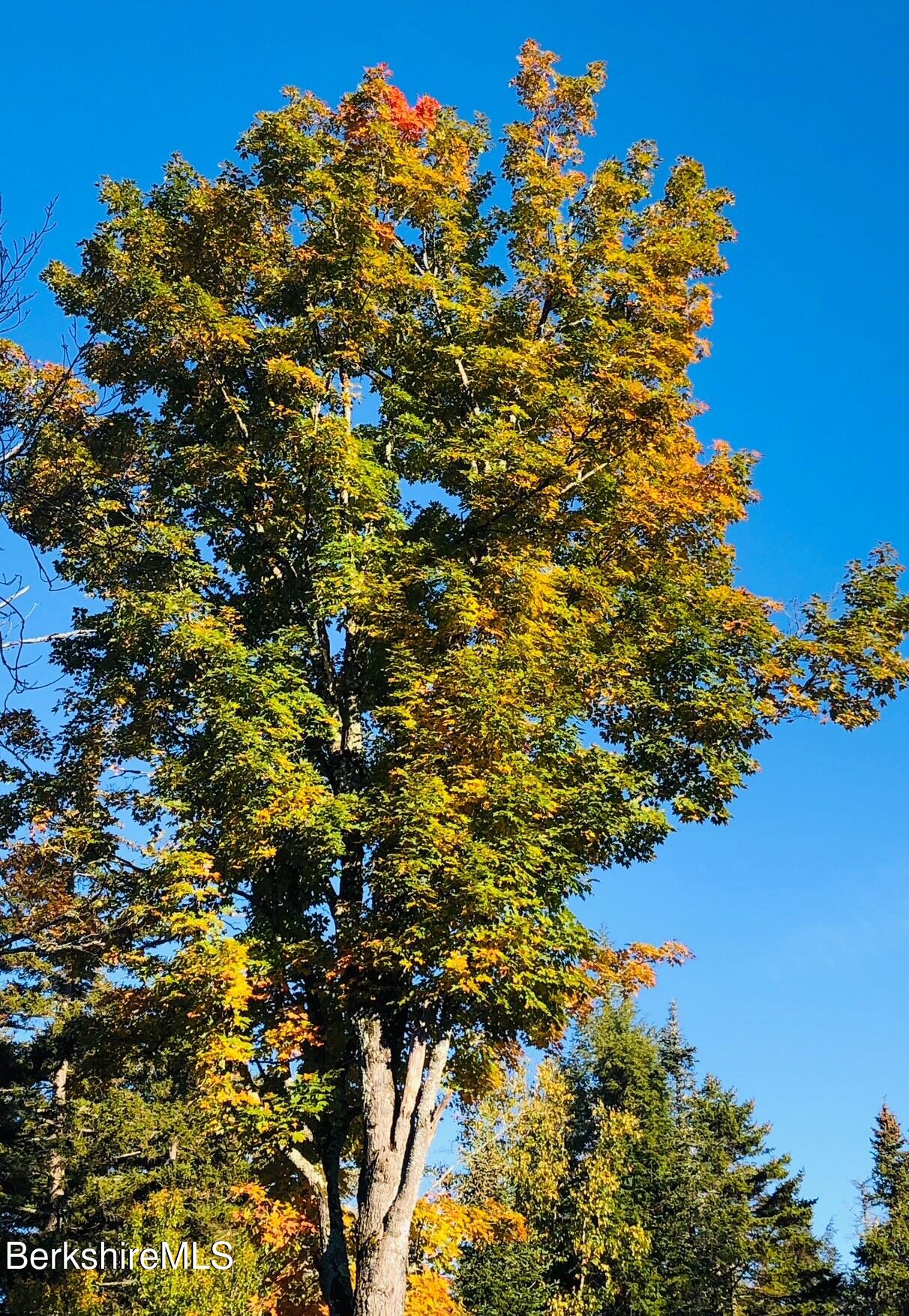 30 Jackson Road Savoy, MA 01256 - Photo 41 of 42 Seasonal Photo