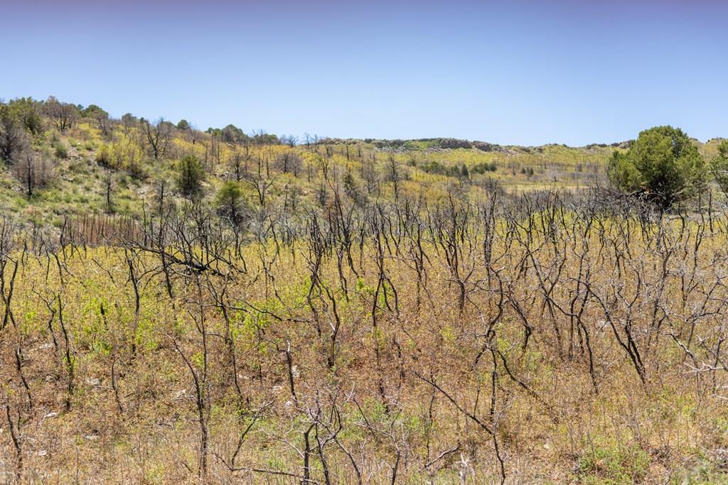 Lot 25 Majors Ranch Walsenburg, CO 81089 - Photo 15 of 34