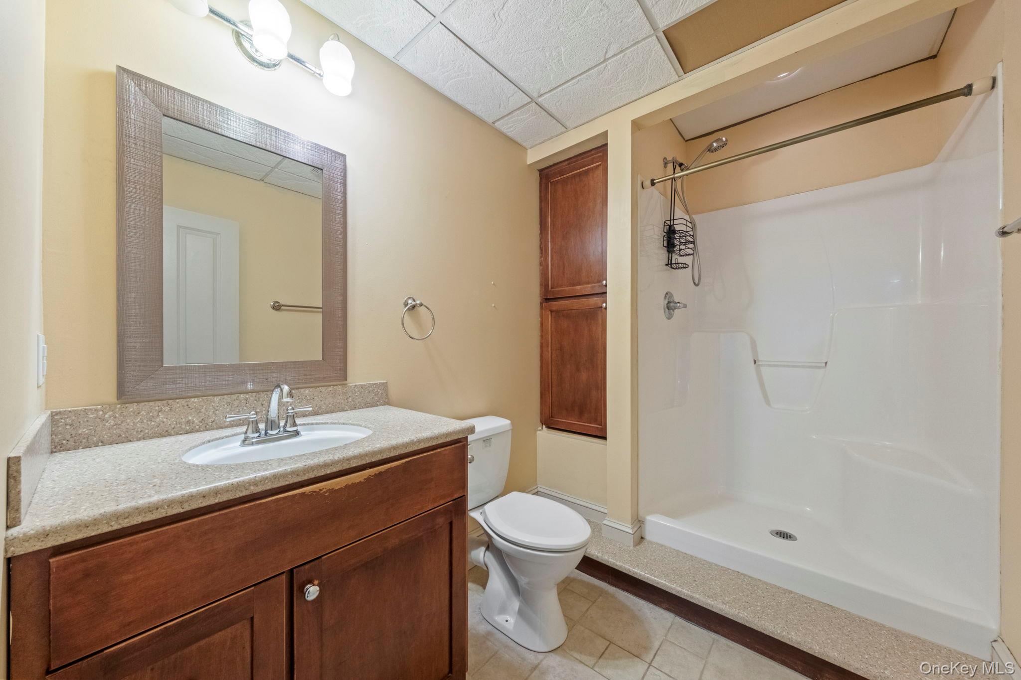 62 Middletown Point Road Rock Hill, NY 12775 - Photo 30 of 42 a bathroom with a sink a toilet and shower