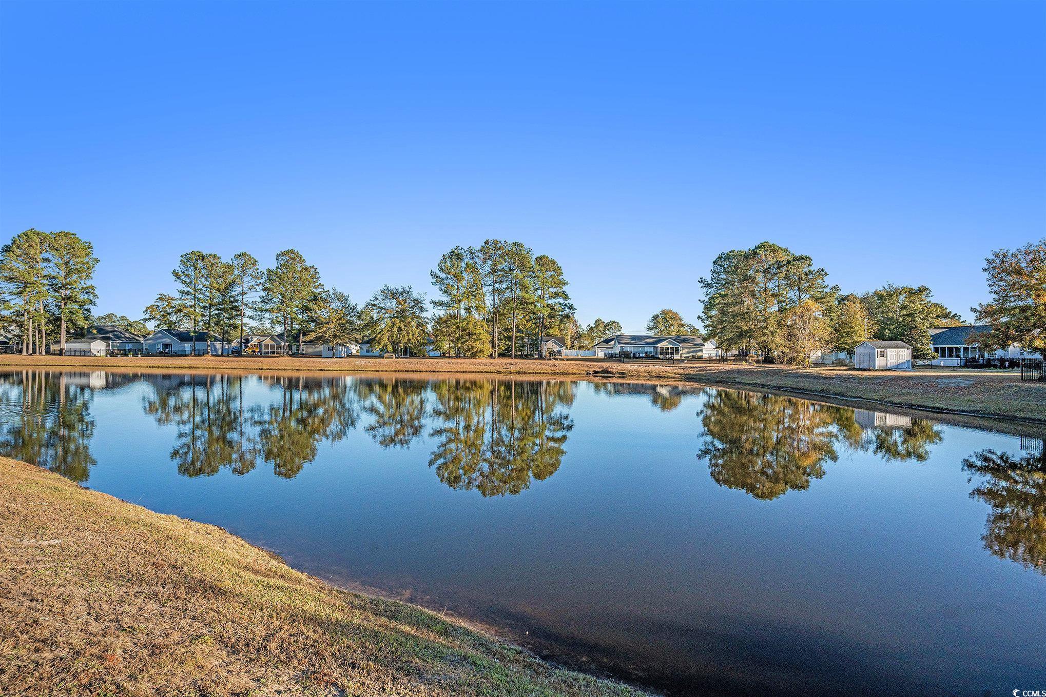 265 Georgia Mae Loop Conway, SC 29527 - Photo 2 of 28 Water view