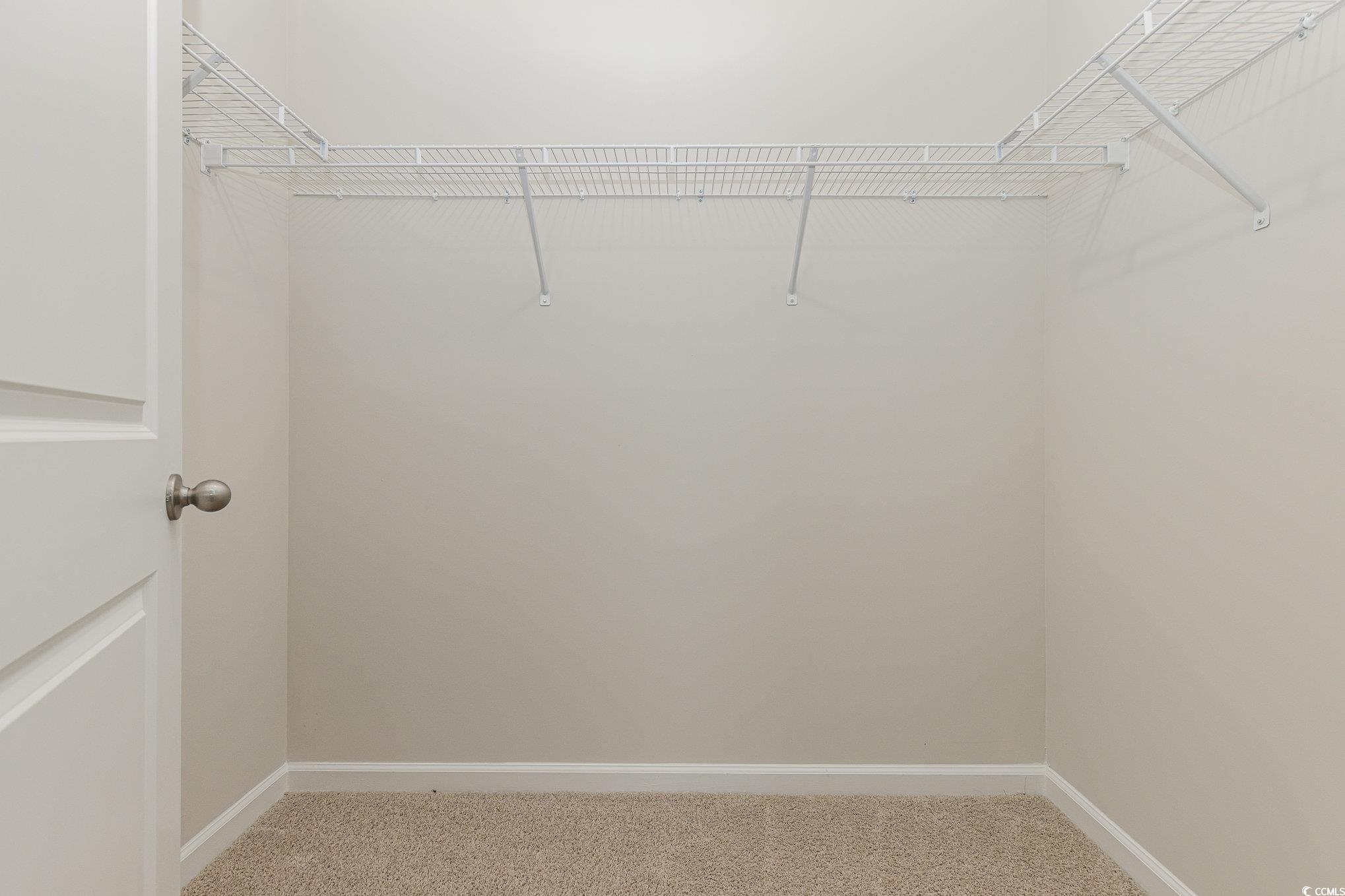 866 Farmers Passage Loop Loris, SC 29569 - Photo 14 of 25 Walk in closet featuring carpet