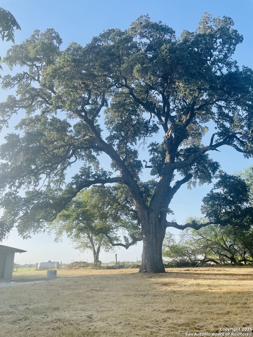 3010 Triple Tree Drive China Grove, TX 78263 - Photo 18 of 18 a view of lake with outdoor space