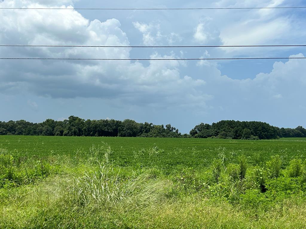 76.47-ac Eddins Road Dothan, AL 36301 - Photo 1 of 44 Main View