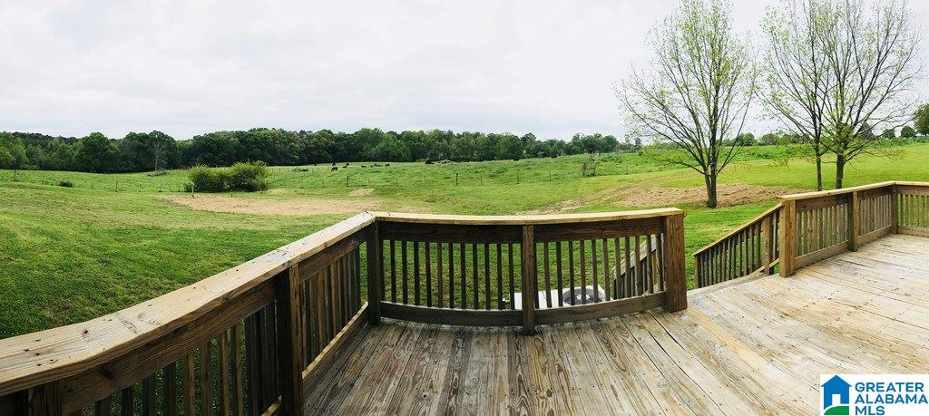 2070 County Road 28 Ranburne, AL 36273 - Photo 23 of 40