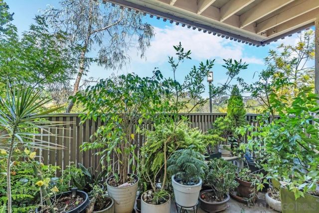 a view of a potted plant in a garden
