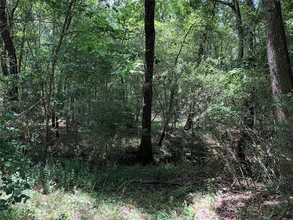 a view of outdoor space and green space