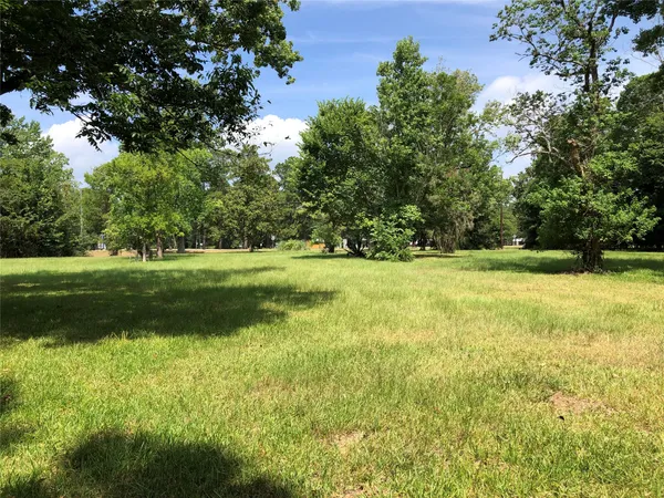 a view of a trees in a yard