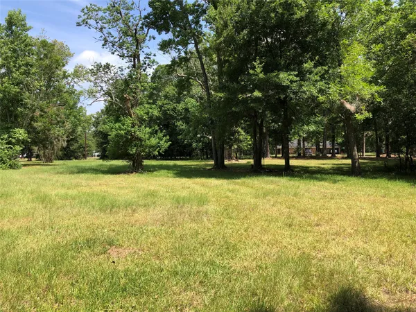 a view of outdoor space with yard and green space