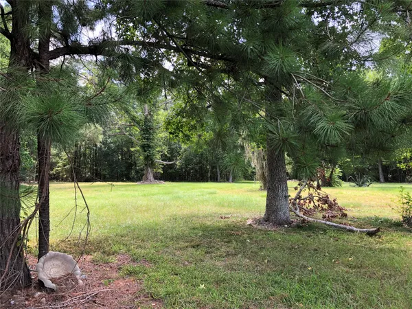 a view of a yard with a tree